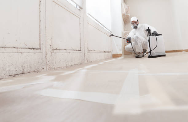 24/7 Emergency Black Mold Remediation experts in Sherwood, OR