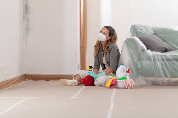 Reliable Black Mold Remediation contractor in Sherwood, OR by Car Mold Remediation